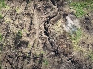 На Донеччині прикордонники б’ють по живій силі окупантів (відео)