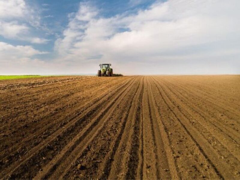 Аграрії Полтавщини засіяли 70 тисяч гектарів ранніх зернових