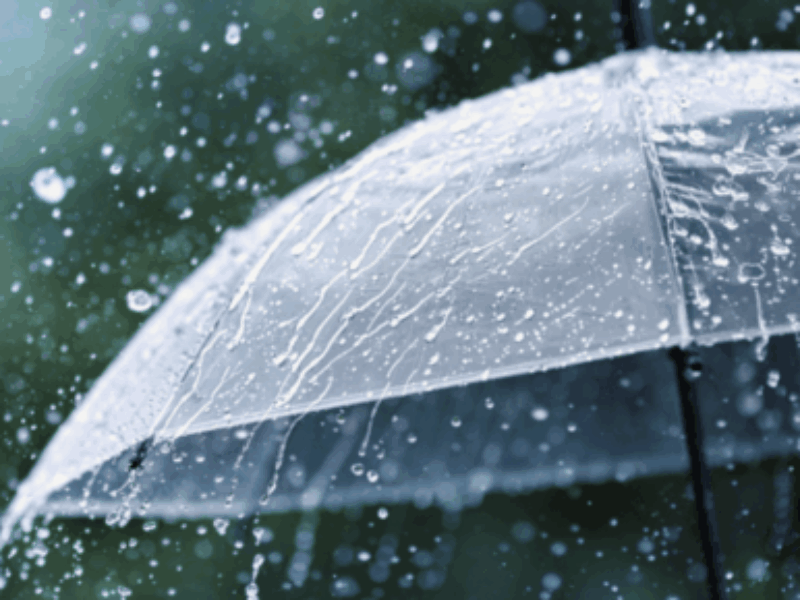 Полтавщина: туман, невеликий дощ та до +16º тепла