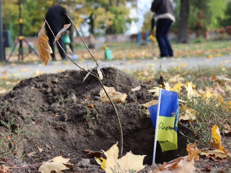 У Полтаві висадили дерева, щоб увічнити подвиг полеглих воїнів