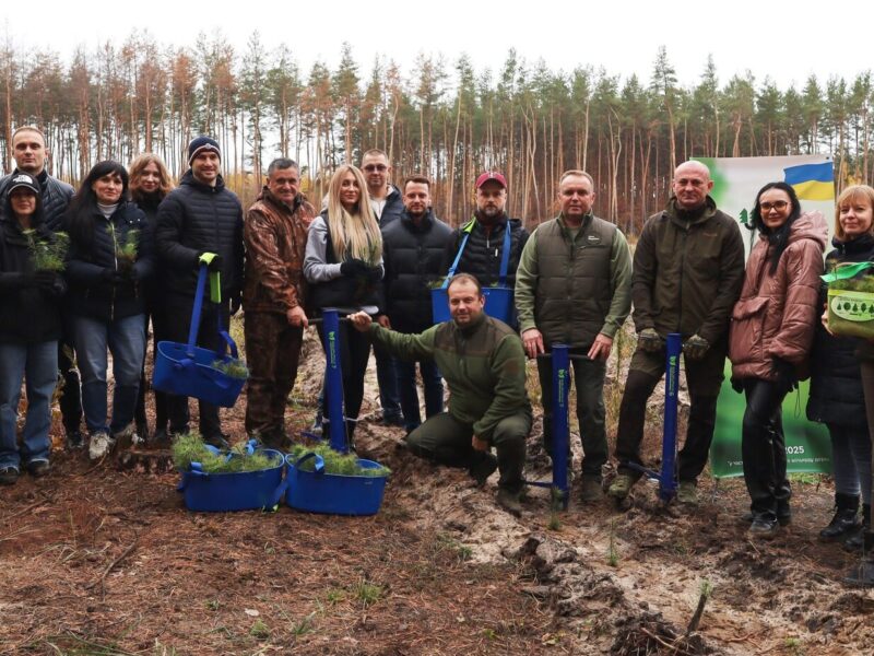 У лісі на Полтавщині висадили 10 тисяч сіянців сосни та дуба після пожежі торік
