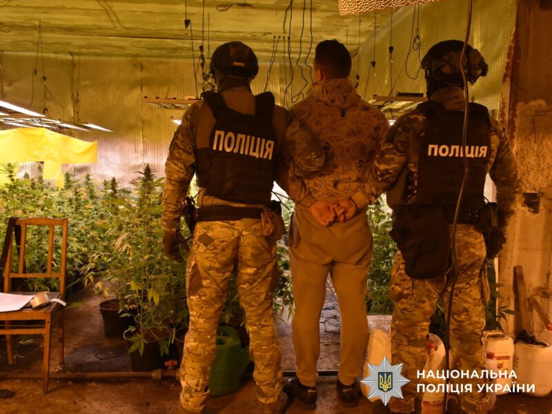 Мінус міжрегіональне наркоугруповання з центром збуту на Полтавщині: вилучено канабісу на 3 млн грн