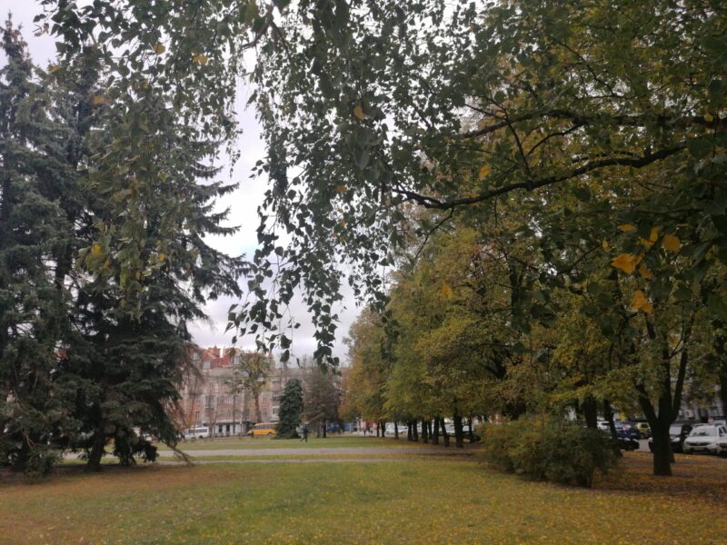 Прогноз погоди: 17 жовтня на Полтавщині буде хмарно, до +12°