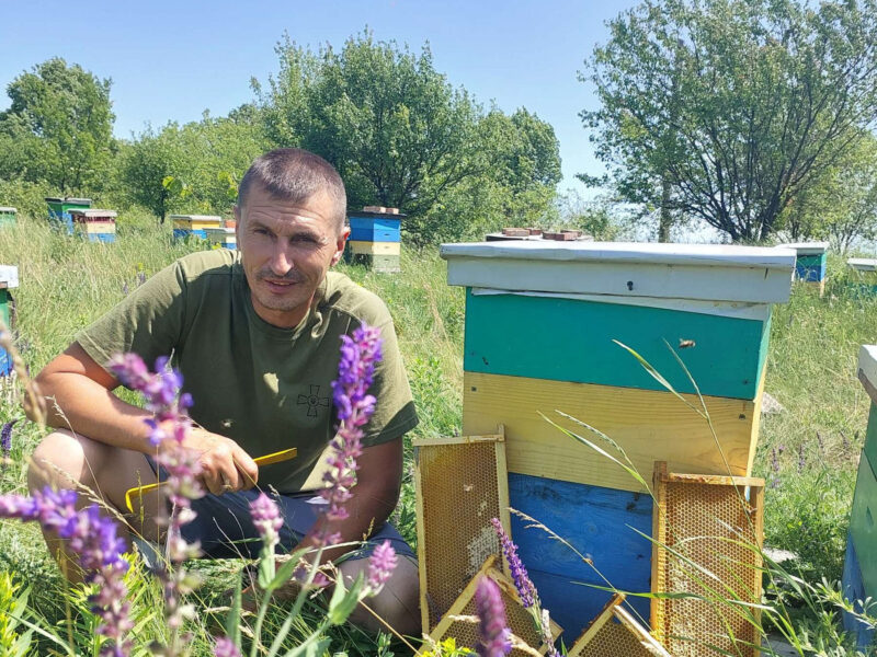 На Полтавщині ветеран масштабував пасіку та планує навчати бджільництву інших ветеранів