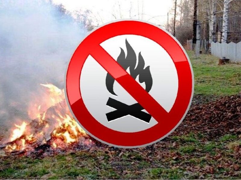 Поліція Полтавщини нагадує: спалювання сухого листя заборонено, штрафи сягають 153 тисяч гривень