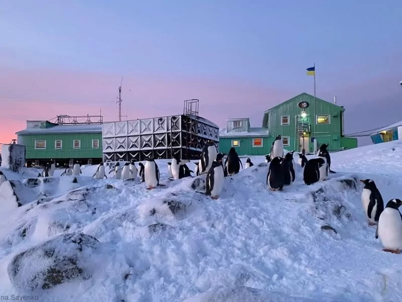 Онлайн-екскурсія станцією «Академік Вернадський» : полярники вийдуть у прямий ефір