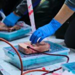 Навички, що рятують життя: у полтавському Хартія-Хабі проведуть дводенний інтенсив із домедичної допомоги