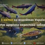 Із 1 квітня в Україні діє нерестова заборона: що потрібно знати рибалкам