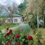 Полтавські музеї відкриють двері безкоштовно напередодні Міжнародного дня музеїв
