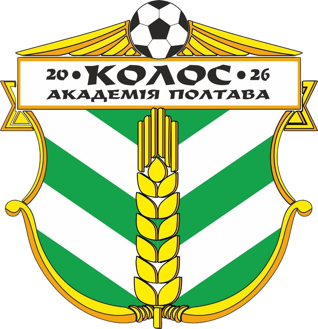 Логотип «Колос Академія Ю-19»