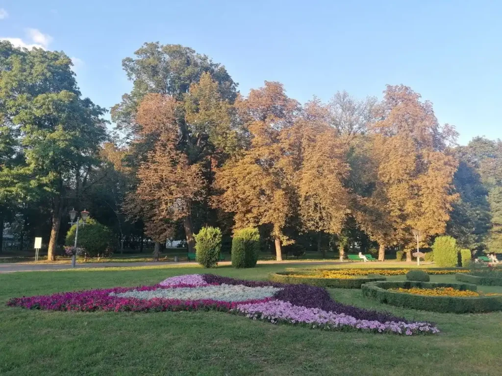 дерева та клумби в парку