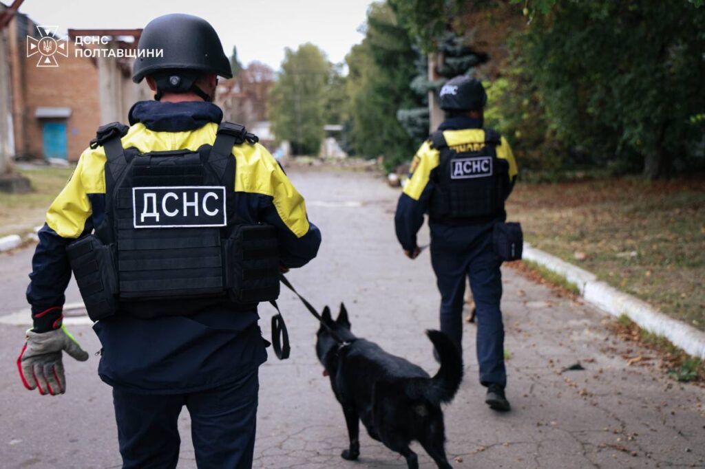 кінологи з собакою йдуть по асфальту