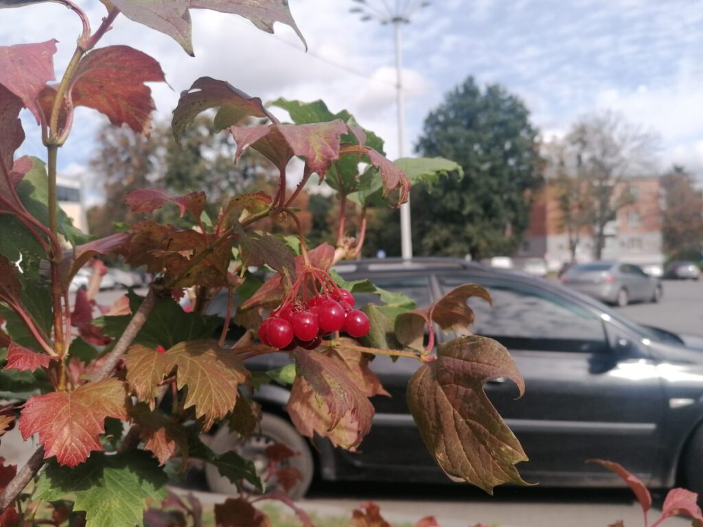 До +20° та без істотних опадів: прогноз погоди на Полтавщині на 25 вересня