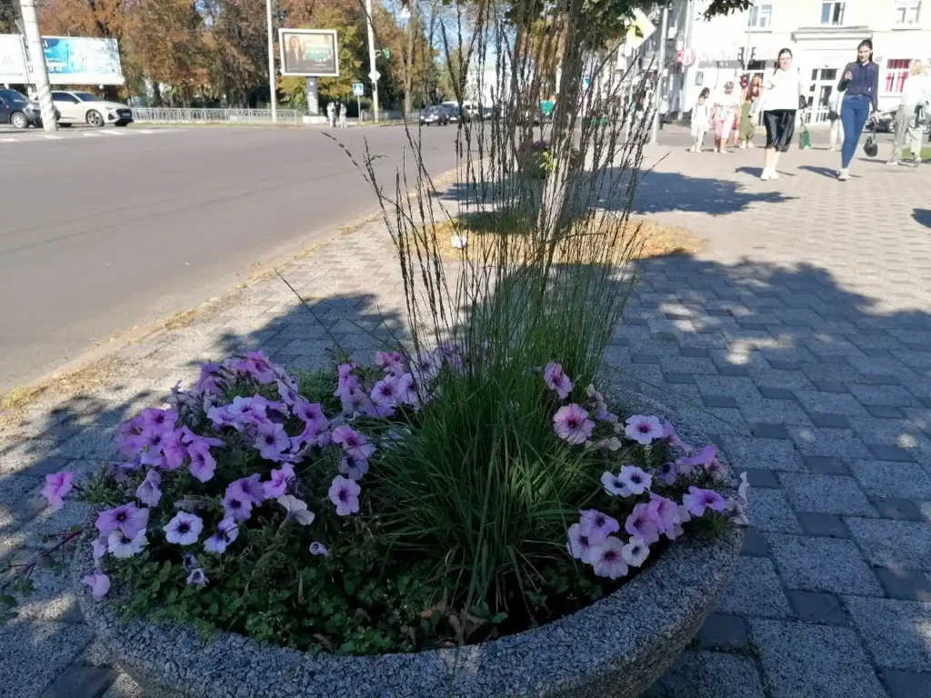 До +25° у вихідні, а потім – дощі: прогноз погоди для Полтавської області до кінця тижня