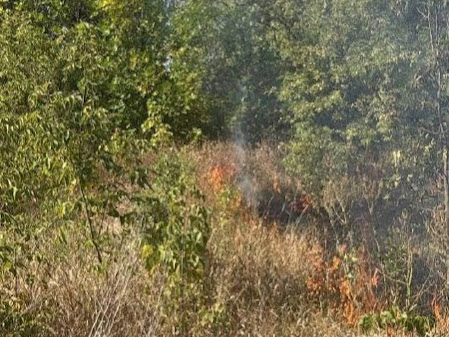 На Полтавщині внаслідок падіння російського БпЛА зайнялася рослинність, минулося без жертв