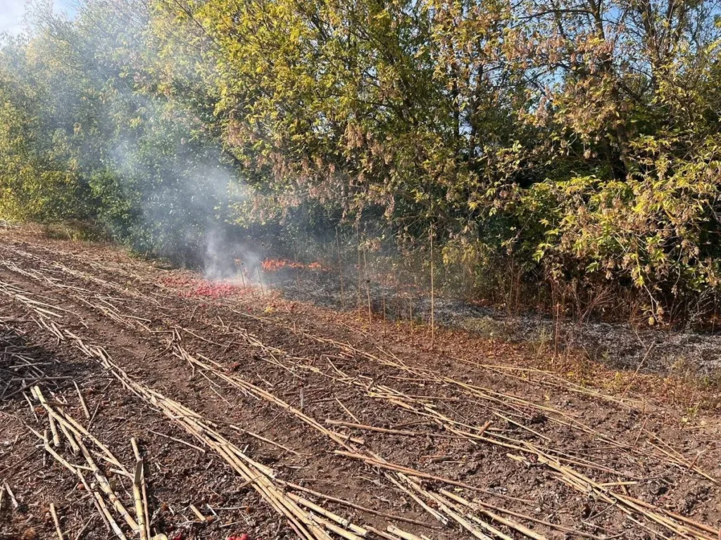 У Полтавському районі уламки ворожого дрона спричинили пожежу на відкритій місцевості — ОВА