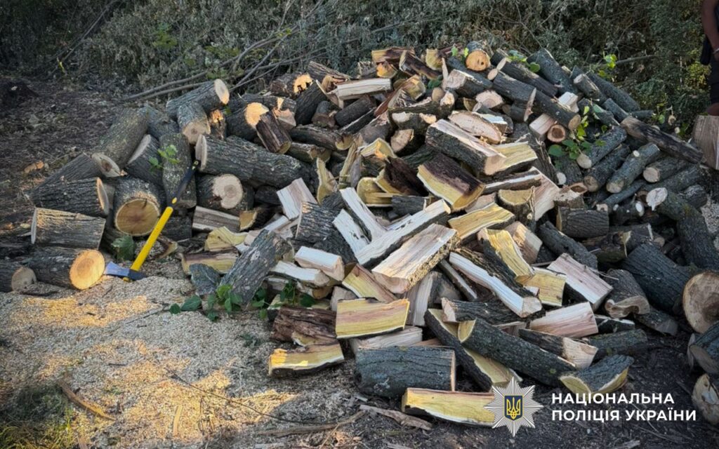 Склад дров та нарубаного гілля 