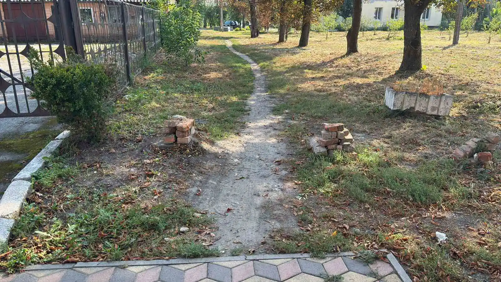 платкова доріжка переходить у стежину