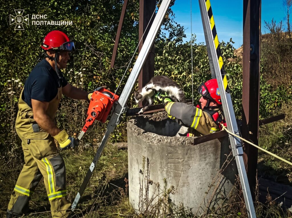 На Полтавщині рятувальники витягли кота із закинутого колодязя