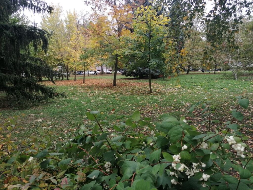 Погода на Полтавщині на початок тижня: на зміну грозі та зливам прийде суха й хмарна погода