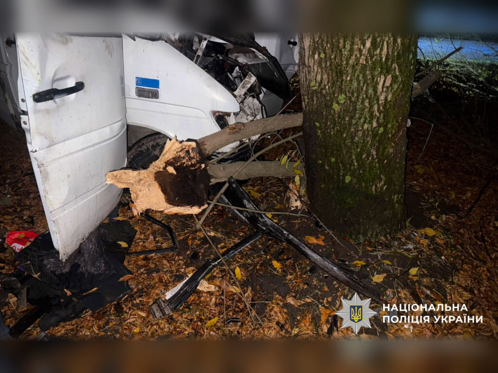 18-річний водій врізався в дерево в Лубнах: поліція підозрює алкогольне сп’яніння