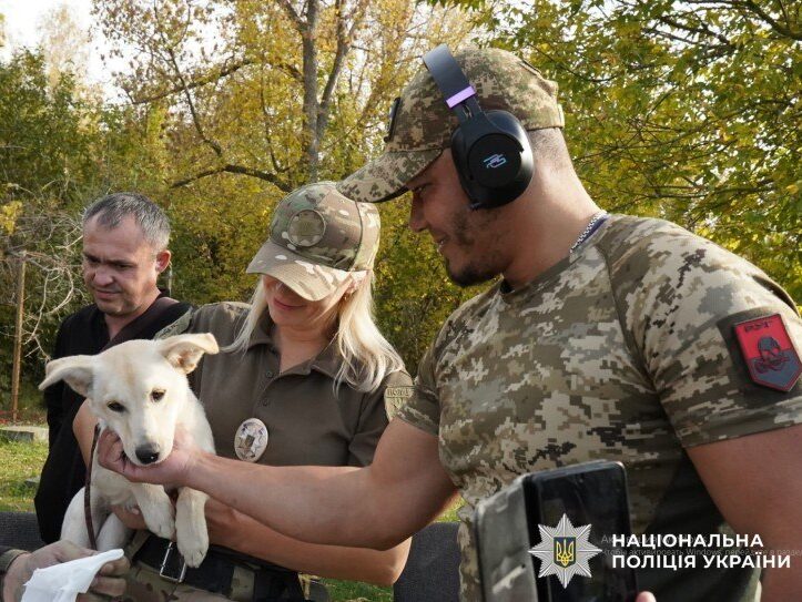 Чотирилапі терапевти: на Полтавщині кінологи та психологи поліції провели сеанс каністерапії для поранених бійців