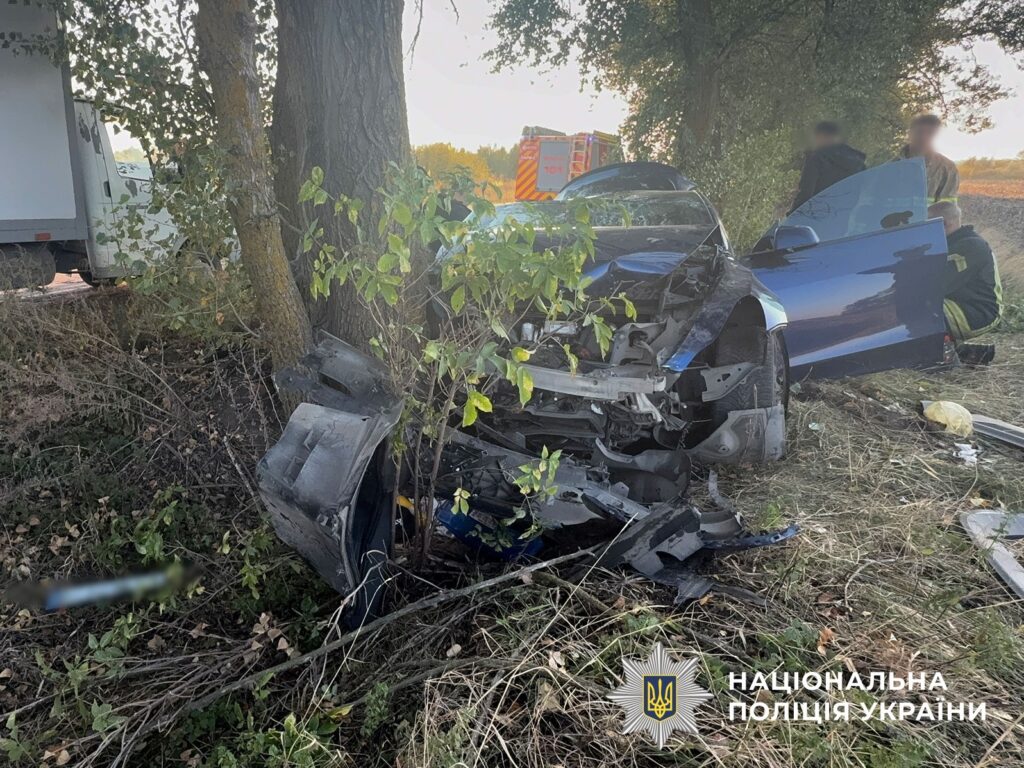 У Кременчуцькому районі Tesla зіткнулася з деревом: травмувалися двоє дітей і дві жінки