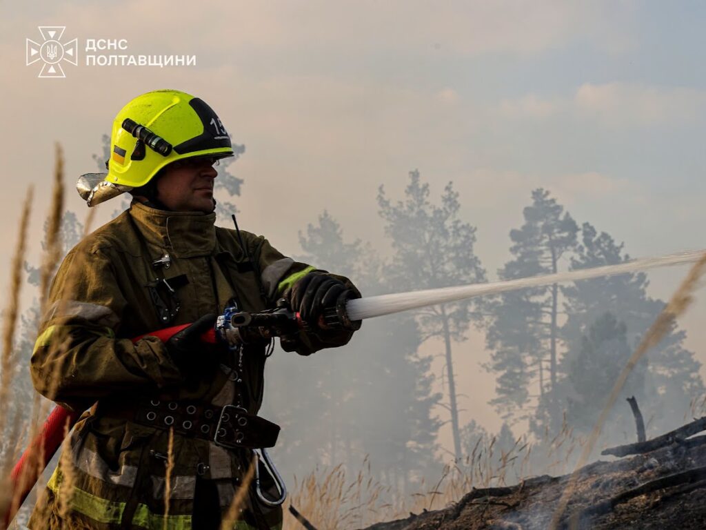 У Полтавському районі палали вантажівка, ліси, споруди: за добу в області сталося 10 пожеж