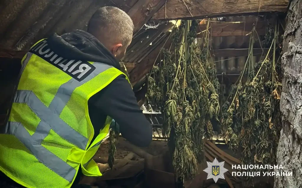 людина в жилеті з написом поліція в приміщенні, у якому під балками розвішані сушитися рослини
