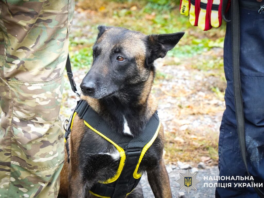 Пошук людей під завалами: на Полтавщині кінологи поліції та ДСНС провели спільні навчання