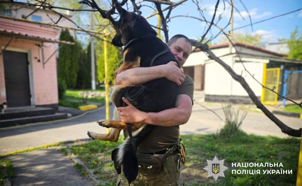 Кінолог несе немецьку вівчарку на руках
